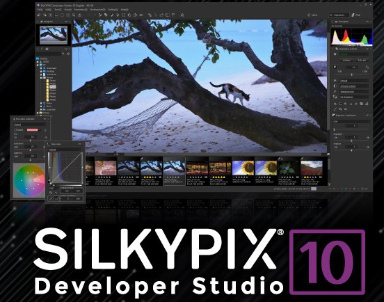 SILKYPIX Developer Studio Pro License Key